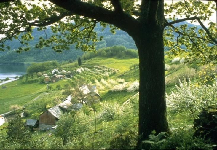 Hardanger Feriesenter Nesvika Villa Norheimsund Kültér fotó